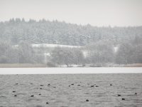 Zima nad jeziorem Pile