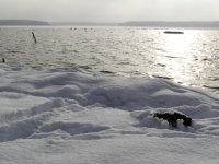Winter at the Pile Lake